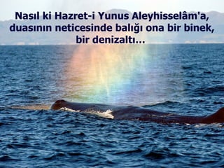 Nasıl ki Hazret-i Yunus Aleyhisselâm'a, duasının neticesinde balığı ona bir binek, bir denizaltı…  