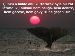Çünkü o halde onu kurtaracak öyle bir zât lâzımdı ki; hükmü hem balığa, hem denize, hem geceye, hem gökyüzüne geçebilsin.  