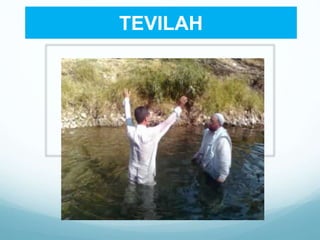 TEVILAH
 