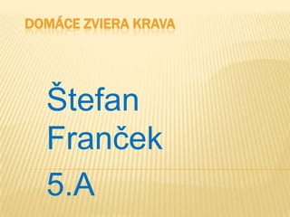 DOMÁCE ZVIERA KRAVA
Štefan
Franček
5.A
 