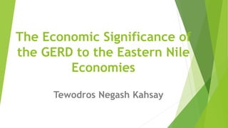 Tewodros Negash Kahsay_2023 AGRODEP Annual Conference