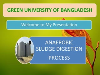 Welcome to My Presentation
ANAEROBIC
SLUDGE DIGESTION
PROCESS
GREEN UNIVERSITY OF BANGLADESH
 