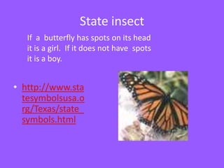 State insectIf  a  butterfly has spots on its head it is a girl.  If it does not have  spots  it is a boy.http://www.statesymbolsusa.org/Texas/state_symbols.html