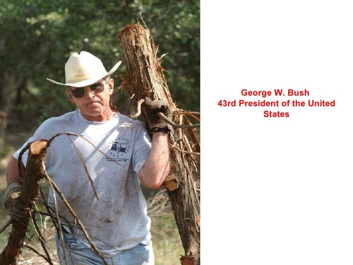 dont-mess-with-texas-20-728.jpg