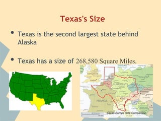 Texas | PDF