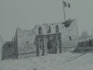 Pic of unfinished alamo 