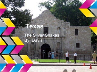 Texas
The Silver Snakes
By: Davis
 