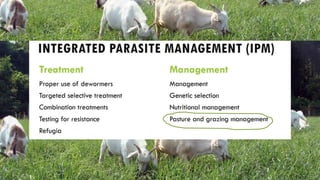 Pasture management to control internal parasites Slide 3