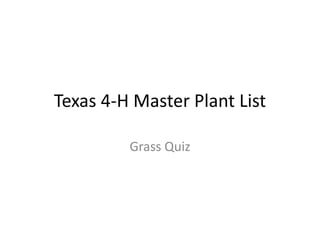 Texas 4-H Master Plant List
Grass Quiz
 