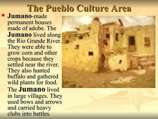 The Pueblo Culture Area Jumano -made permanent houses made of adobe. The  Jumano  lived along the Rio Grande River. They were able to grow corn and other crops because they settled near the river. They also hunted buffalo and gathered wild plants for food. The  J umano  lived in large villages. They used bows and arrows and carried heavy clubs into battles. 