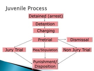 Detained (arrest)
Detention
Pretrial
Plea/StipulationJury Trial Non Jury Trial
Punishment/
Disposition
Charging
Dismissal
 