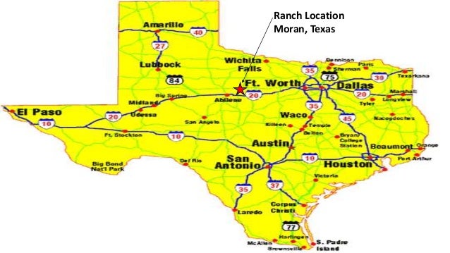 Texas Ranch For Sale | 83 Ac | Private Airstrip | Hangar | Home | 100â€¦  Ranch Location Moran, Texas ...