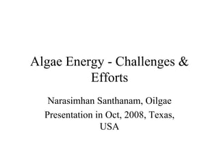 Algae Energy - Challenges & Efforts Narasimhan Santhanam, Oilgae Presentation in Oct, 2008, Texas, USA 