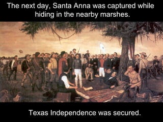 The next day, Santa Anna was captured while
hiding in the nearby marshes.

Texas Independence was secured.

 