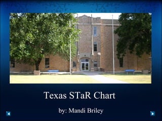 Texas STaR Chart   by: Mandi Briley 