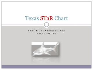 East Side Intermediate Palacios ISD Texas STaR Chart 