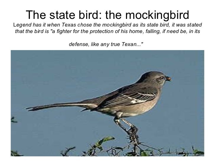 14 the state bird