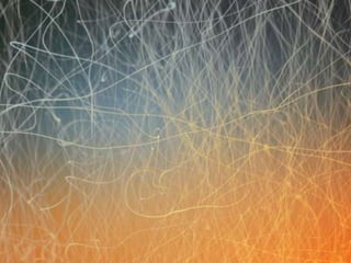 Tex imgpres matreferencia