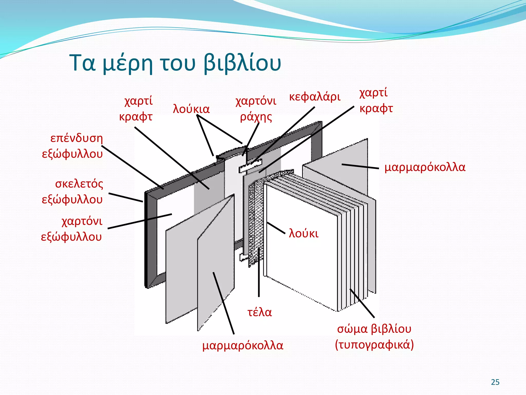 κεφαλάρι χαρτί
κραφτ
χαρτί
κραφτ
λούκι
σώμα βιβλίου
(τυπογραφικά)μαρμαρόκολλα
Τα μέρη του βιβλίου
τέλα
25
σκελετός
εξώφυλλου
χαρτόνι
εξώφυλλου
μαρμαρόκολλα
χαρτόνι
ράχης
επένδυση
εξώφυλλου
λούκια
 