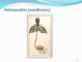 Χαλκογραφίες (γκραβούρες)
31
 