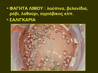 ΦΑΓΗΤΑ ΛΙΜΟΥ : λούπινα, βελανίδια,
ρόβι, λαθούρι, αγριόβικος κλπ.
ΣΑΛΙΓΚΑΡΙΑ
 