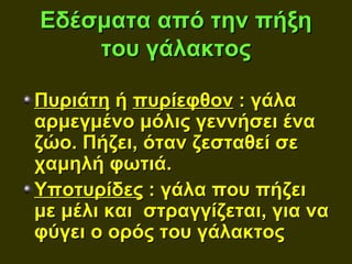 Εδέσματα από την πήξη
    του γάλακτος

Πυριάτη ή πυρίεφθον : γάλα
αρμεγμένο μόλις γεννήσει ένα
ζώο. Πήζει, όταν ζεσταθεί σε
χαμηλή φωτιά.
Υποτυρίδες : γάλα που πήζει
με μέλι και στραγγίζεται, για να
φύγει ο ορός του γάλακτος
 