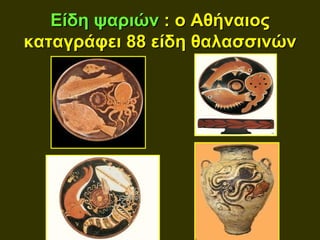 Είδη ψαριών : ο Αθήναιος
καταγράφει 88 είδη θαλασσινών
 