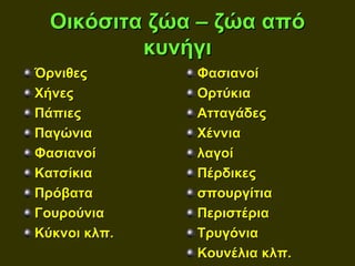 Οικόσιτα ζώα – ζώα από
          κυνήγι
Όρνιθες       Φασιανοί
Χήνες         Ορτύκια
Πάπιες        Ατταγάδες
Παγώνια       Χέννια
Φασιανοί      λαγοί
Κατσίκια      Πέρδικες
Πρόβατα       σπουργίτια
Γουρούνια     Περιστέρια
Κύκνοι κλπ.   Τρυγόνια
              Κουνέλια κλπ.
 