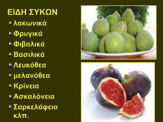 ΕΙΔΗ ΣΥΚΩΝ
 λακωνικά
 Φρυγικά
 Φιβαλικά
 Βασιλικά
 Λευκόθεα
 μελανόθεα
 Κρίνεια
 Ασκαλόνεια
 Σαρκελάφεια
 κλπ.
 