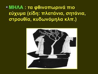 ΜΗΛΑ : τα φθινοπωρινά πιο
εύχυμα (είδη: πλατάνια, σητάνια,
στρουθία, κυδωνόμηλα κλπ.)
 