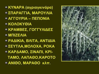 ΚΥΝΑΡΑ (αγριαγκινάρα)
ΣΠΑΡΑΓΓΙΑ, ΜΑΡΟΥΛΙΑ
ΑΓΓΟΥΡΙΑ – ΠΕΠΟΝΙΑ
ΚΟΛΟΚΥΘΙΑ
ΚΡΑΜΒΕΣ, ΓΟΓΓΥΛΙΔΕΣ
ΜΠΙΖΕΛΙΑ
ΡΑΔΙΚΙΑ, ΒΛΙΤΑ, ΑΝΤΙΔΙΑ
ΣΕΥΤΛΑ,ΜΟΛΟΧΑ, ΡΟΚΑ
ΚΑΡΔΑΜΟ, ΣΙΝΑΠΙ, ΚΡΙ-
ΤΑΜΟ, ΛΑΠΑΘΟ,ΚΑΡΟΤΟ
ΑΝΙΘΟ, ΜΑΡΑΘΟ κλπ.
 