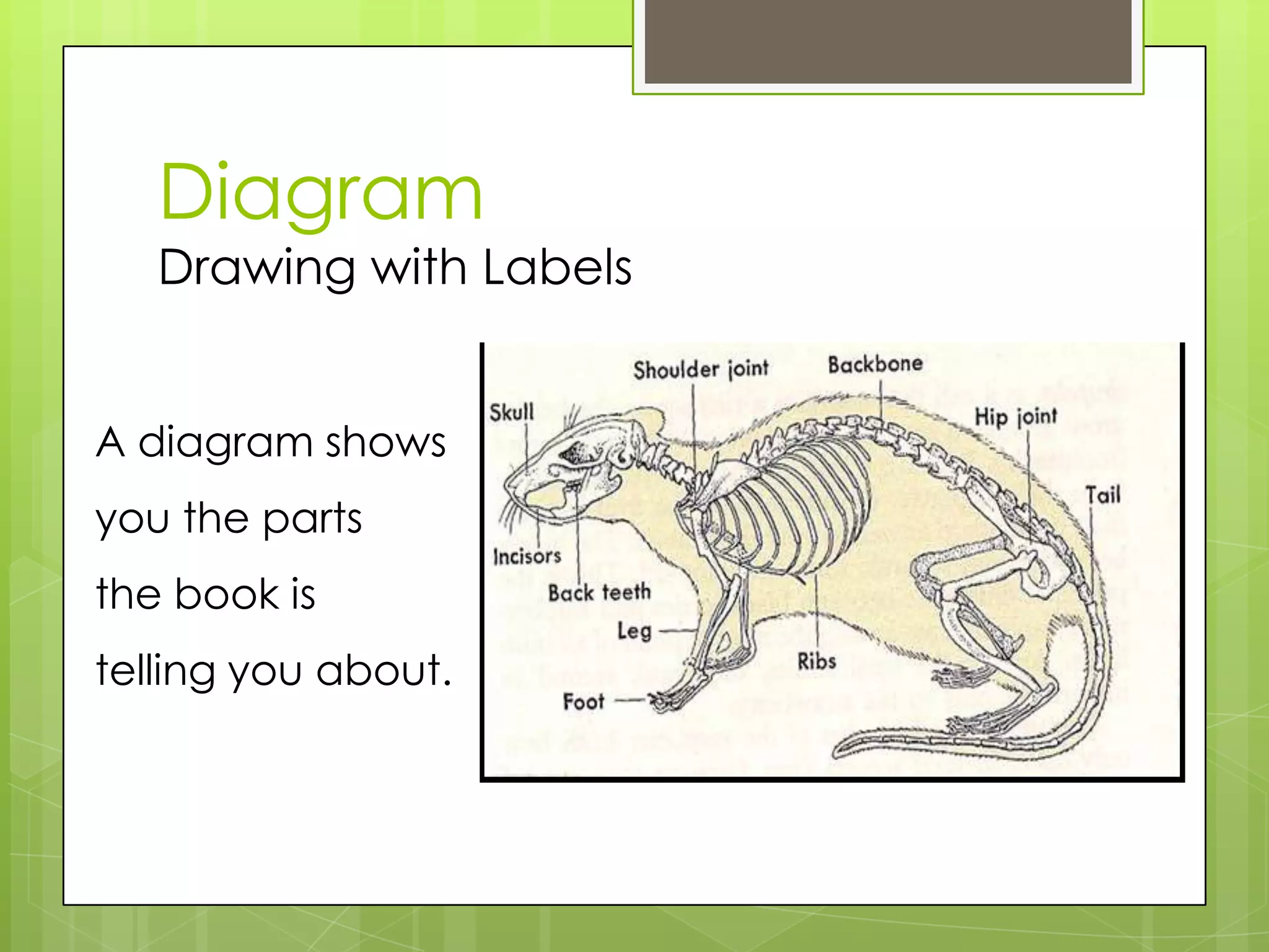 Diagram
Drawing with Labels
A diagram shows
you the parts
the book is
telling you about.