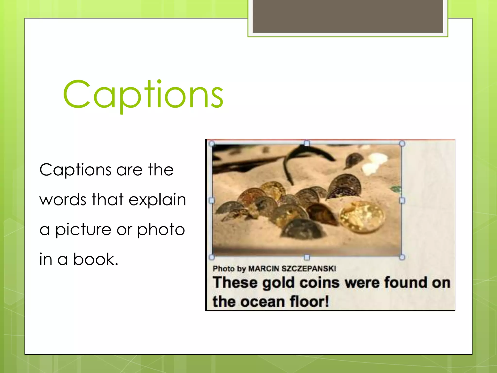 Captions
Captions are the
words that explain
a picture or photo
in a book.