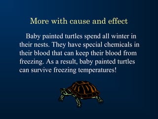 More with cause and effect
Baby painted turtles spend all winter in
their nests. They have special chemicals in
their blood that can keep their blood from
freezing. As a result, baby painted turtles
can survive freezing temperatures!

 