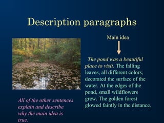 Description paragraphs
Main idea

All of the other sentences
explain and describe
why the main idea is
true.

The pond was a beautiful
place to visit. The falling
leaves, all different colors,
decorated the surface of the
water. At the edges of the
pond, small wildflowers
grew. The golden forest
glowed faintly in the distance.

 