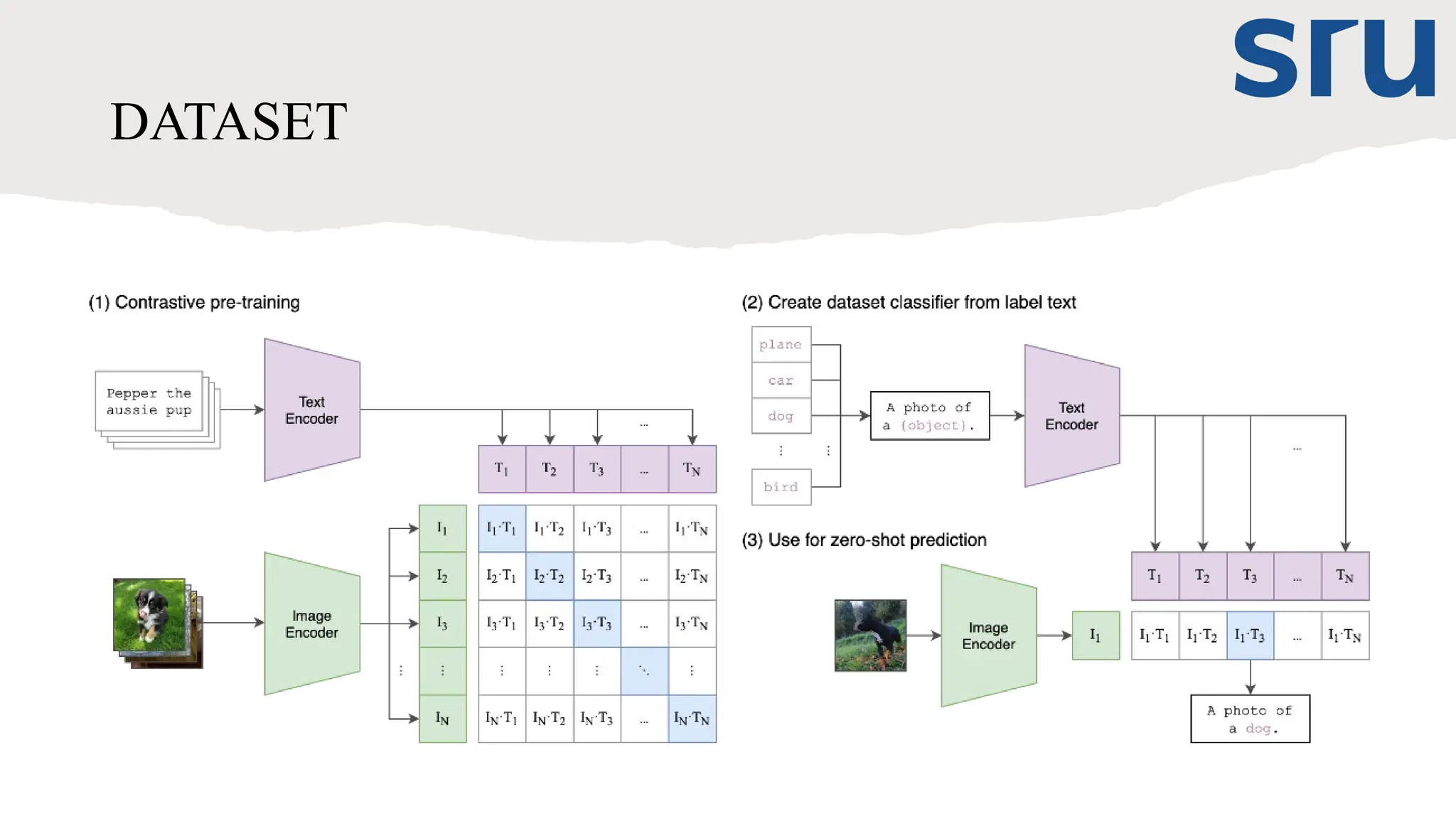 DATASET
 