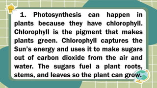 1. Photosynthesis can happen in
plants because they have chlorophyll.
Chlorophyll is the pigment that makes
plants green. Chlorophyll captures the
Sun’s energy and uses it to make sugars
out of carbon dioxide from the air and
water. The sugars fuel a plant roots,
stems, and leaves so the plant can grow.
 