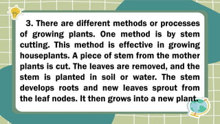 3. There are different methods or processes
of growing plants. One method is by stem
cutting. This method is effective in growing
houseplants. A piece of stem from the mother
plants is cut. The leaves are removed, and the
stem is planted in soil or water. The stem
develops roots and new leaves sprout from
the leaf nodes. It then grows into a new plant.
 