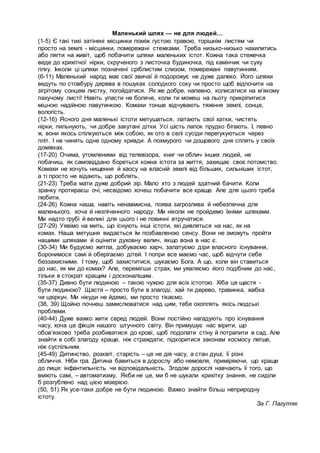 Маленький шлях — не для людей…
(1-5) Є такі тихі затінені місцинки поміж густою травою, торішнім листям чи
просто на землі...