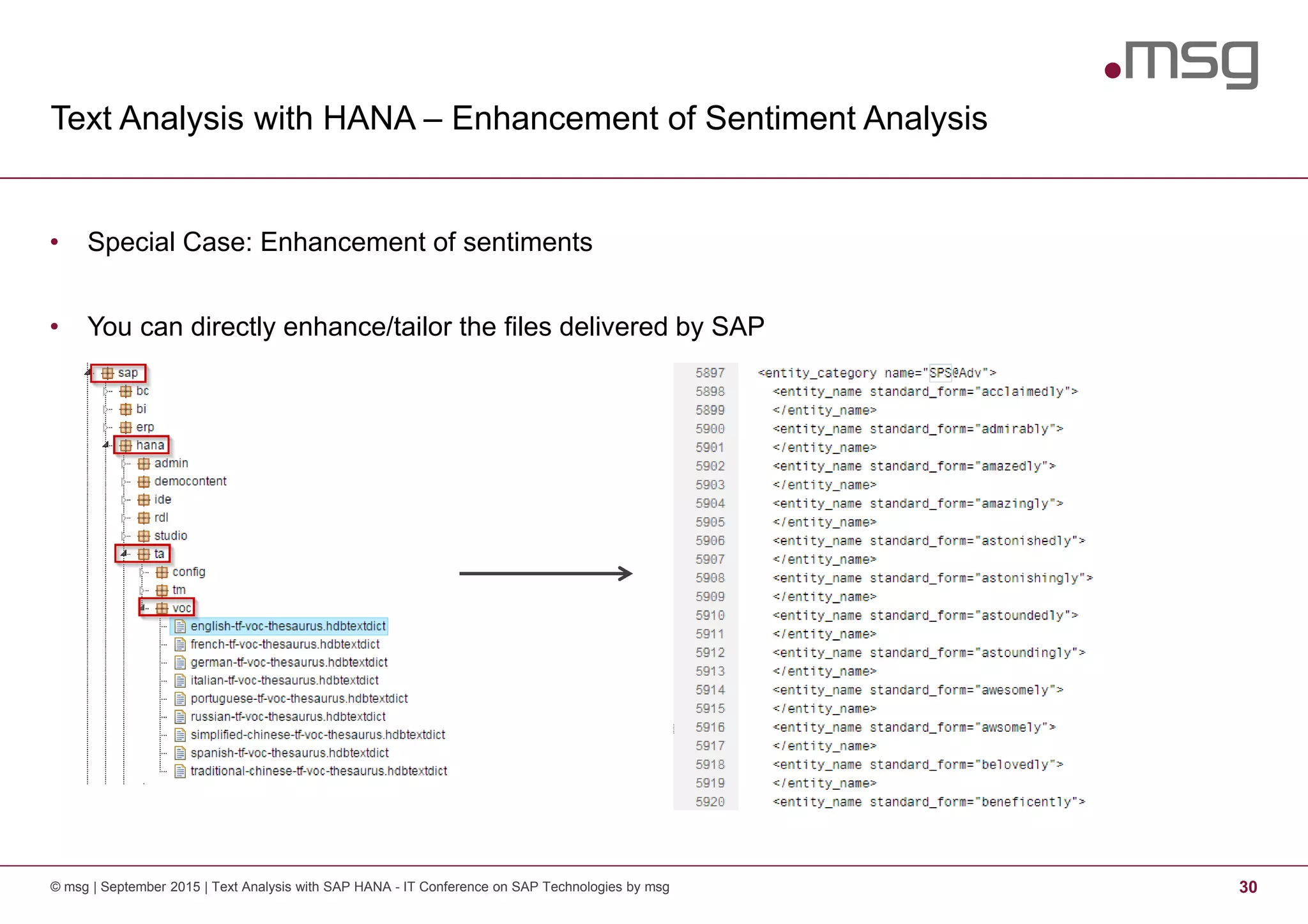 Text Analysis with HANA – Enhancement of Sentiment Analysis
© msg | September 2015 | Text Analysis with SAP HANA - IT Conference on SAP Technologies by msg 30
• Special Case: Enhancement of sentiments
• You can directly enhance/tailor the files delivered by SAP
 