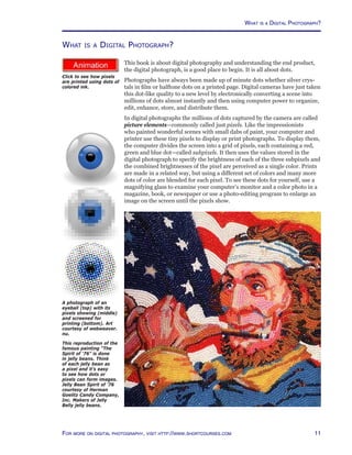 11For more on digital photography, visit http://www.shortcourses.com
http://www.photocourse.com/itext/dots/
What is a Digital Photograph?
This book is about digital photography and understanding the end product,
the digital photograph, is a good place to begin. It is all about dots.
Photographs have always been made up of minute dots whether silver crys-
tals in film or halftone dots on a printed page. Digital cameras have just taken
this dot-like quality to a new level by electronically converting a scene into
millions of dots almost instantly and then using computer power to organize,
edit, enhance, store, and distribute them.
In digital photographs the millions of dots captured by the camera are called
picture elements—commonly called just pixels. Like the impressionists
who painted wonderful scenes with small dabs of paint, your computer and
printer use these tiny pixels to display or print photographs. To display them,
the computer divides the screen into a grid of pixels, each containing a red,
green and blue dot—called subpixels. It then uses the values stored in the
digital photograph to specify the brightness of each of the three subpixels and
the combined brightnesses of the pixel are perceived as a single color. Prints
are made in a related way, but using a different set of colors and many more
dots of color are blended for each pixel. To see these dots for yourself, use a
magnifying glass to examine your computer’s monitor and a color photo in a
magazine, book, or newspaper or use a photo-editing program to enlarge an
image on the screen until the pixels show.
This reproduction of the
famous painting “The
Spirit of ‘76” is done
in jelly beans. Think
of each jelly bean as
a pixel and it’s easy
to see how dots or
pixels can form images.
Jelly Bean Spirit of ’76
courtesy of Herman
Goelitz Candy Company,
Inc. Makers of Jelly
Belly jelly beans.
Click to see how pixels
are printed using dots of
colored ink.
A photograph of an
eyeball (top) with its
pixels showing (middle)
and screened for
printing (bottom). Art
courtesy of webweaver.
nu.
What is a Digital Photograph?
 