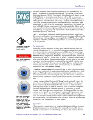 45For more on digital photography, visit http://www.shortcourses.com
http://www.photocourse.com/itext/compression/
are at risk over time since companies come and go and interest waxes and
wanes. One solution to this growing problem is a new Adobe format called
the Digital Negative (.DNG). This publicly defined and openly shared format
for RAW files is an attempt to ensure that you will be able to access your
image files in the future. If your camera doesn’t capture RAW images in this
format, you can convert them to DNG using a program such as Photoshop or
Lightroom. When you do so, you can even choose to store the original RAW
image inside its DNG file so you can extract it at some future date should you
need it. The DNG format is supported by Photoshop and other Adobe prod-
ucts, some other software companies, and a number of camera companies. As
with all things in computing, only time will tell if the format becomes widely
accepted or gradually fades away.
• TIFF (tagged image file format) is a format that’s often used to exchange
files between applications and computer platforms. It’s supported by virtually
all paint, image-editing, and page-layout applications. TIFF files tend to be
larger than both JPEG and RAW images and can be saved using either 8 bits
or 16 bits per color.
File compression
Image files are huge compared to many other types of computer files. For
example, files captured by a 12 Megapixel camera can range up to 18 Mega-
bytes. As resolutions continue to increase, so will file sizes. To make image
files smaller and more manageable, digital cameras use a process called com-
pression. During compression, data that is duplicated or that has little value
is eliminated or saved in a shorter form, to reduce a file’s size. For example, if
large areas of the sky are the same shade of blue, only the value for one pixel
needs to be saved along with the locations of the other pixels with the same
color. When the image is then opened and displayed by any application, the
compression process is reversed more or less depending on which form of
compression was used—lossless or lossy.
• Lossless compression compresses an image so when it is uncompressed,
as it is when you open it, its image quality matches the original source—noth-
ing is lost. Although lossless compression sounds ideal, it doesn’t provide
much compression so files remain quite large. For this reason, lossless com-
pression is only used by the highest quality image formats—namely TIFF and
RAW.
• Lossy compression (rhymes with “bossy”) can dramatically reduce file
sizes. However, this process degrades images to some degree and the more
they’re compressed, the more degraded they become. In many situations,
such as posting images on the Web or making small to medium sized prints,
the image degradation isn’t obvious. However, if you enlarge an image
enough, it will show. The most common lossy file format is JPEG and many
cameras let you specify how much they are compressed. For example, many
cameras let you choose Fine (1:4), Normal (1:8), and Basic (1:16) compres-
sion. This is a useful feature because there is a trade-off between compression
and image quality. Less compression gives you better images so you can make
larger prints, but you can’t store as many images.
Color depth
When you view a natural scene you are able to distinguish millions of colors.
A digital image can approximate this color realism, but how well it does so
depends on your camera and the settings you choose. The number of colors
Click to see the effects
of compression.
The almost universally
recognized icon for
image quality.
Here, two versions of
the same image. The
image on top is the
original JPEG. The one
on the bottom shows
what happens after
it’s saved a few times
at the lowest quality
setting. Art courtesy of
webweaver.nu.
Image Formats
The DNG logo.
 