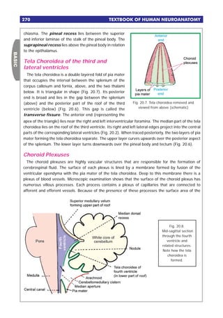 Textbook of human neuroanatomy-