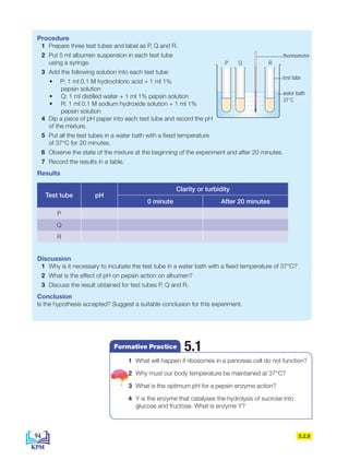 5.2.9
Procedure
1 Prepare three test tubes and label as P, Q and R.
2 Put 5 ml albumen suspension in each test tube
using a syringe.
3 Add the following solution into each test tube:
• P: 1 ml 0.1 M hydrochloric acid + 1 ml 1%
pepsin solution
•		Q: 1 ml distilled water + 1 ml 1% pepsin solution
•		R: 1 ml 0.1 M sodium hydroxide solution + 1 ml 1%
pepsin solution
4 Dip a piece of pH paper into each test tube and record the pH
of the mixture.
5 Put all the test tubes in a water bath with a fixed temperature
of 37°C for 20 minutes.
6 Observe the state of the mixture at the beginning of the experiment and after 20 minutes.
7 Record the results in a table.
Results
Test tube pH
Clarity or turbidity
0 minute After 20 minutes
P
Q
R
Discussion
1 Why is it necessary to incubate the test tube in a water bath with a fixed temperature of 37°C?
2 What is the effect of pH on pepsin action on albumen?
3 Discuss the result obtained for test tubes P, Q and R.
Conclusion
Is the hypothesis accepted? Suggest a suitable conclusion for this experiment.
1 What will happen if ribosomes in a pancreas cell do not function?
2 Why must our body temperature be maintained at 37°C?
3 What is the optimum pH for a pepsin enzyme action?
4 Y is the enzyme that catalyses the hydrolysis of sucrose into
glucose and fructose. What is enzyme Y?
5.1
Formative Practice
thermometer
test tube
P Q R
water bath
37°C
94
BioT4(7th)-B5-FA_EN New 6th.indd 94 1/9/2020 12:16:57 PM
 