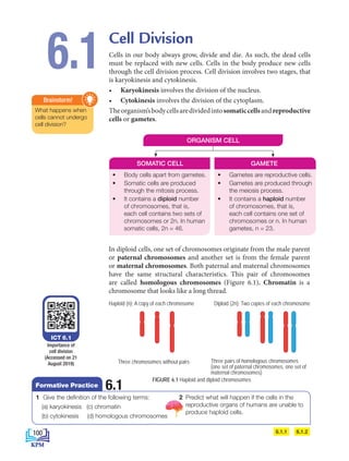 Cell Division
Cells in our body always grow, divide and die. As such, the dead cells
must be replaced with new cells. Cells in the body produce new cells
through the cell division process. Cell division involves two stages, that
is karyokinesis and cytokinesis.
• Karyokinesis involves the division of the nucleus.
• Cytokinesis involves the division of the cytoplasm.
Theorganism’sbodycellsaredividedintosomaticcellsandreproductive
cells or gametes.
6.1
What happens when
cells cannot undergo
cell division?
Brainstorm!
• Body cells apart from gametes.
• Somatic cells are produced
through the mitosis process.
• It contains a diploid number
of chromosomes, that is,
each cell contains two sets of
chromosomes or 2n. In human
somatic cells, 2n = 46.
• Gametes are reproductive cells.
• Gametes are produced through
the meiosis process.
• It contains a haploid number
of chromosomes, that is,
each cell contains one set of
chromosomes or n. In human
gametes, n = 23.
SOMATIC CELL GAMETE
FIGURE 6.1 Haploid and diploid chromosomes
6.1.2
6.1.1
Importance of
cell division
(Accessed on 21
August 2019)
ICT 6.1
In diploid cells, one set of chromosomes originate from the male parent
or paternal chromosomes and another set is from the female parent
or maternal chromosomes. Both paternal and maternal chromosomes
have the same structural characteristics. This pair of chromosomes
are called homologous chromosomes (Figure 6.1). Chromatin is a
chromosome that looks like a long thread.
Haploid (n) A copy of each set of chromosome Diploid (2n) Two copies of each chromosome
Three chromosomes without pairs Three pairs of homologous chromosome
(one set of paternal chromosomes, one set of
maternal chromosomes)
Haploid (n) A copy of each set of chromosome Diploid (2n) Two copies of each chromosome
Three chromosomes without pairs Three pairs of homologous chromosome
(one set of paternal chromosomes, one set of
maternal chromosomes)
Haploid (n): A copy of each chromosome
Three chromosomes without pairs Three pairs of homologous chromosomes
(one set of paternal chromosomes, one set of
maternal chromosomes)
Diploid (2n): Two copies of each chromosome
ORGANISM CELL
1 Give the definition of the following terms:
(a) karyokinesis (c) chromatin
(b) cytokinesis (d) homologous chromosomes
2 Predict what will happen if the cells in the
reproductive organs of humans are unable to
produce haploid cells.
6.1
Formative Practice
100
BioT4(NC)-B6-EN New 6th.indd 100 1/9/2020 12:11:23 PM
 