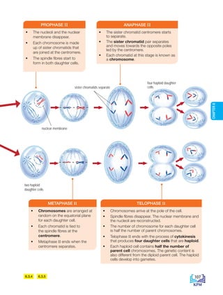 • Chromosomes are arranged at
random on the equatorial plane
for each daughter cell.
• Each chromatid is tied to
the spindle fibres at the
centromere.
• Metaphase II ends when the
centromere separates.
METAPHASE II
• Chromosomes arrive at the pole of the cell.
• Spindle fibres disappear. The nuclear membrane and
the nucleoli are reconstructed.
• The number of chromosome for each daughter cell
is half the number of parent chromosomes.
• Telophase II ends with the process of cytokinesis
that produces four daughter cells that are haploid.
• Each haploid cell contains half the number of
parent cell chromosomes. The genetic content is
also different from the diploid parent cell. The haploid
cells develop into gametes.
TELOPHASE II
6.3.4 6.3.5
• The nucleoli and the nuclear
membrane disappear.
• Each chromosome is made
up of sister chromatids that
are joined at the centromere.
• The spindle fibres start to
form in both daughter cells.
PROPHASE II
• The sister chromatid centromere starts
to separate.
• The sister chromatid pair separates
and moves towards the opposite poles
led by the centromere.
• Each chromatid at this stage is known as
a chromosome.
ANAPHASE II
four haploid daughter
cells
sister chromatids separate
nuclear membrane
two haploid
daughter cells
107
CHAPTER
6
BioT4(NC)-B6-EN New 6th.indd 107 1/9/2020 12:11:55 PM
 