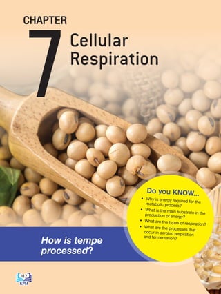 • Why is energy required for the
metabolic process?
• What is the main substrate in the
production of energy?
• What are the types of respiration?
• What are the processes that
occur in aerobic respiration
and fermentation?
Do you KNOW...
How is tempe
processed?
Cellular
Respiration
7
CHAPTER
112
BioT4(NC)-B7-EN New 7th.indd 112 1/9/2020 12:11:12 PM
 