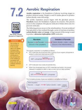 7.2.1 7.2.2
ICT 7.1
Video: Aerobic respiration
(Accessed on 21 August 2019)
The number of
mitochondrion
in the muscle
cells of an athlete
increases after
intensive training.
Explain how this
contributes to
the achievement
of the athlete as
compared with
those who do not
undergo intensive
training.
Brainstorm!
Aerobic respiration is the breakdown of glucose involving oxygen to
produce chemical energy. Oxygen is used to oxidise glucose to produce
carbon dioxide, water and energy.
The aerobic respiration process begins with the glycolysis process.
Glycolysis means the breakdown of glucose by enzymes. This process
occurs in the cytoplasm. One glucose molecule is broken down into two
pyruvate molecules.
The following process occurs in the mitochondrion. Pyruvate produced
from glycolysis is then oxidised through a series of reactions to produce
carbon dioxide, water and energy. A large amount of this energy is used
to produce adenosine triphosphate (ATP) molecules.
Aerobic Respiration
7.2
The aerobic respiration is simplified as follows.
• ATP molecules are produced when a group of non-organic phosphate is
added to adenosine diphosphate (ADP).
ADP + phosphate ATP
energy
• ATP molecules have weak phosphate links.
• When the phosphate links on ATP molecules are broken, the energy
released is supplied to cells to help us carry out our daily activities.
ATP ADP + phosphate
energy
The complete process of glucose oxidation is simplified as follows:
Word equation:
Glucose + oxygen Carbon dioxide + water + energy
(2898 kJ)
Glucose Pyruvate
(Occurs in the cytoplasm)
Glycolysis
Carbon dioxide + water + energy
(Occurs in the mitochondrion)
Oxidation of Pyruvate
115
CHAPTER
7
BioT4(NC)-B7-EN New 7th.indd 115 1/9/2020 12:11:26 PM
 