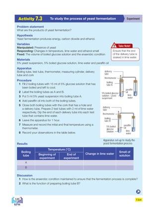 7.3.4
A
c
t
i
v
i
t
i
e
s 2
.
1 Experiment
To study the process of yeast fermentation
Activity 7.3
Problem statement
What are the products of yeast fermentation?
Hypothesis
Yeast fermentation produces energy, carbon dioxide and ethanol.
Variables
Manipulated: Presence of yeast
Responding: Changes in temperature, lime water and ethanol smell
Fixed: The volume of boiled glucose solution and the anaerobic condition
Materials
5% yeast suspension, 5% boiled glucose solution, lime water and paraffin oil
Apparatus
Boiling tube, test tube, thermometer, measuring cylinder, delivery
tube and cork
Procedure
1 Fill 2 boiling tubes with 15 ml of 5% glucose solution that has
been boiled and left to cool.
2 Label the boiling tubes as A and B.
3 Put 5 ml 5% yeast suspension into boiling tube A.
4 Add paraffin oil into both of the boiling tubes.
5 Close both boiling tubes with the cork that has a hole and
a delivery tube. Prepare 2 test tubes with 2 ml of lime water
respectively. Dip the end of each delivery tube into each test
tube that contains lime water.
6 Leave the apparatus for 1 hour.
7 Measure and record the initial and final temperature using a
thermometer.
8 Record your observations in the table below.
Results
Boiling
tube
Temperature (°C)
Change in lime water
Smell of
solution
Beginning of
experiment
End of
experiment
A
B
Discussion
1 How is the anaerobic condition maintained to ensure that the fermentation process is complete?
2 What is the function of preparing boiling tube B?
Ensure that the end
of the delivery tube is
soaked in lime water.
Take Note!
thermometer
boiling
tube A
boiling
tube B
delivery
tube
-10
0
10
20
30
40
50
60
70
80
90
100
110
-10
10
10
5% boiled glucose
solution + yeast
suspension
paraffin
oil
lime
water
thermometer
delivery
tube
5% boiled
glucose
solution
thermometer
boiling
tube A
boiling
tube B
delivery
tube
-10
0
10
20
30
40
50
60
70
80
90
100
110
-10
10
10
5% boiled glucose
solution + yeast
suspension
paraffin
oil
lime
water
thermometer
delivery
tube
-10
0
10
20
30
40
50
60
70
80
90
100
110
-10
10
10
0
5% boiled
glucose
solution lime
water
paraffin
oil
Apparatus set-up to study the
yeast fermentation process
120
BioT4(NC)-B7-EN New 7th.indd 120 1/9/2020 12:11:44 PM
 