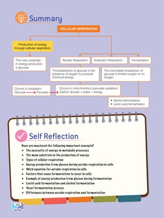 The main substrate
in energy production
is glucose
Fermentation
Production of energy
through cellular respiration
CELLULAR RESPIRATION
Have you mastered the following important concepts?
• The necessity of energy in metabolic processes
• The main substrate in the production of energy
• Types of cellular respiration
• Energy production from glucose during aerobic respiration in cells
• Word equation for aerobic respiration in cells
• Factors that cause fermentation to occur in cells
• Example of energy production from glucose during fermentation
• Lactic acid fermentation and alcohol fermentation
• Yeast fermentation process
• Differences between aerobic respiration and fermentation
Summary
Self Reflection
The incomplete breakdown of
glucose in limited oxygen or no
oxygen
• Alcohol fermentation
• Lactic acid fermentation
The breakdown of glucose in the
presence of oxygen to produce
chemical energy
Occurs in cytoplasm
Glucose Pyruvate
Occurs in mitochondrion (pyruvate oxidation)
Carbon dioxide + water + energy
Aerobic Respiration Anaerobic Respiration
122
BioT4(NC)-B7-EN New 7th.indd 122 1/9/2020 12:11:45 PM
 